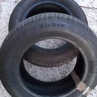 Gomme estive kleber