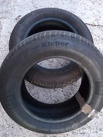 Gomme estive kleber