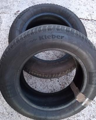 Gomme estive kleber