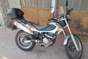Beta Alp 4.0