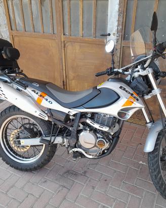 Beta Alp 4.0