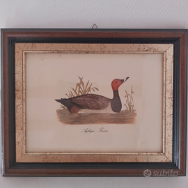 Quadro Moriglione vintage