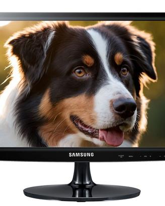 Tv Monitor 22 pollici Samsung SyncMaster T22B300EW