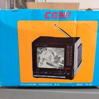 TV portatile 