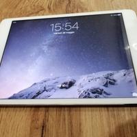 Ipad Mini 13GB