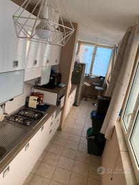 Balena Bianca zona San Girolamo