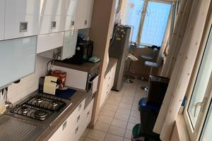 Balena Bianca zona San Girolamo