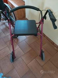 deambulatore 