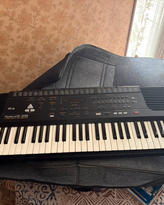 Tastiera Musicale Roland E-28 + Custodia Morbida