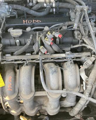 MOTORE COMPLETO FORD Focus Berlina 6° Serie MUDD
