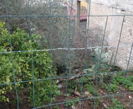 Terreno edificabile a Canicattini Bagni