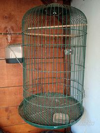 Voliera e gabbia