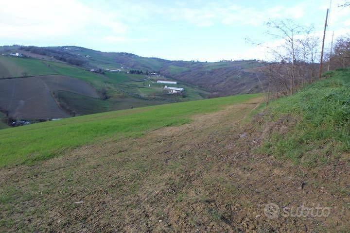 Immobile in asta di 43309 m² a Meldola - Vista 4