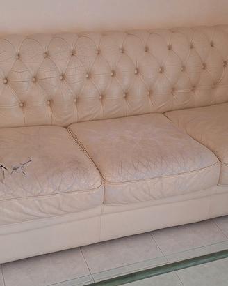 coppia divani Chester