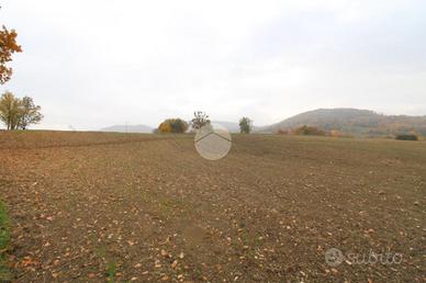 TER. RESIDENZIALE A LANGHIRANO
