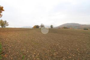 TER. RESIDENZIALE A LANGHIRANO