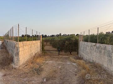 Terreni a Marzamemi