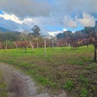 Terreno con facile accesso