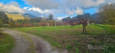 Terreno con facile accesso