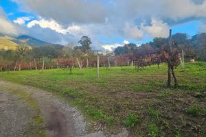 Terreno con facile accesso