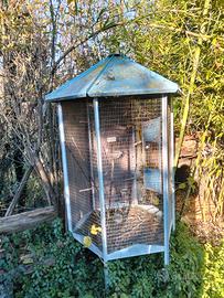 Voliera per uccellini