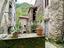 Immagine 11
