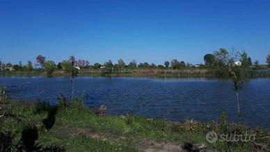 Terreno di 9200 m² a Ceneselli