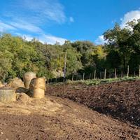 Azienda agricola Postiglione