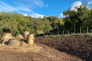 Azienda agricola Postiglione