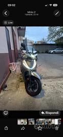 Sh 300 sport