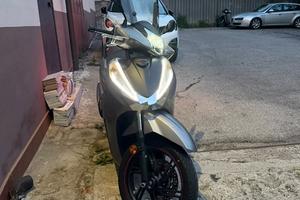 Sh 300 sport