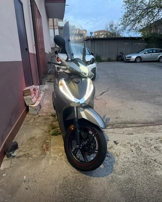 Sh 300 sport
