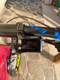 Bici elettrica biammortizzata