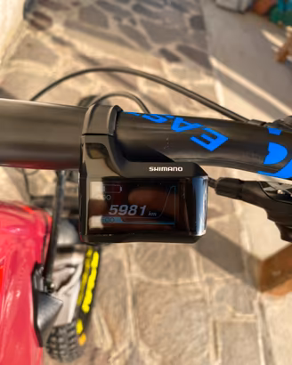 Bici elettrica biammortizzata