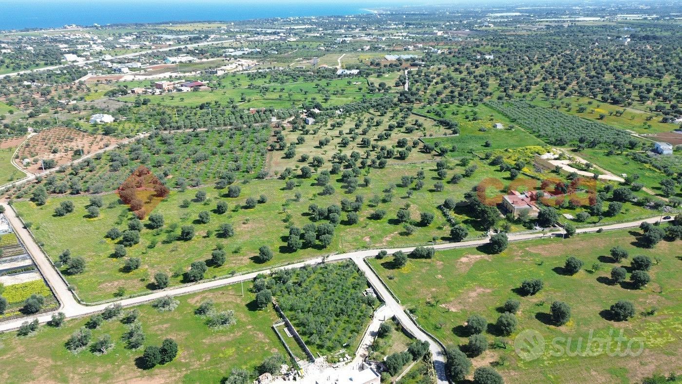 Rustico/Casale/Corte Monopoli - Vista 2