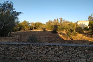 Terreno mq. 6000 a Sassari loc. Pischina Ruia