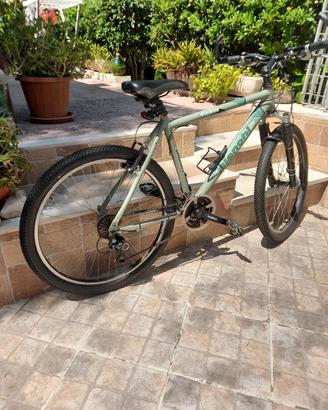 bianchi alloy 7000