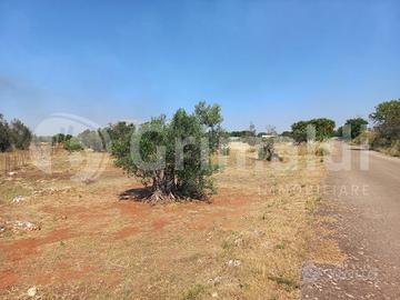 Terreno Agricolo Ugento [6c.dacisternaVCG] (Ugento