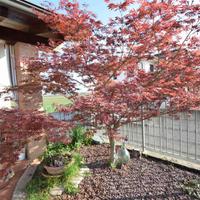 Rif.2460RV51983| villa podenzano