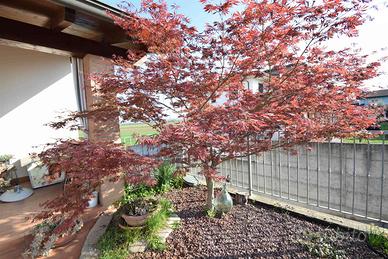 Rif.2460RV51983| villa podenzano