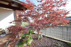 Rif.2460RV51983| villa podenzano