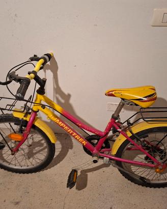 bici 20 ruota