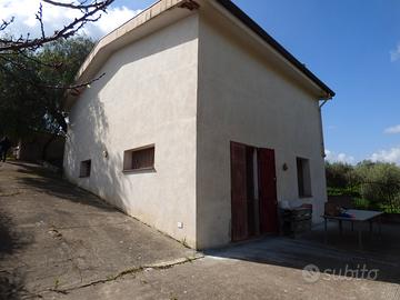 Villetta su due piani con giardino V/7