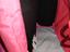 Immagine 6