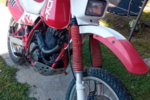 Suzuki Djebel