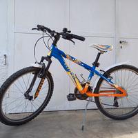 mountain bike