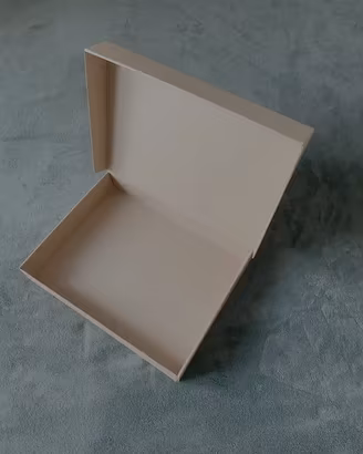 NR 50 scatole fustellate in cartone kraft