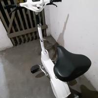 CYCLETTE VINTAGE CHIC 