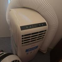 Pinguino condizionatore