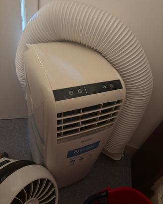 Pinguino condizionatore